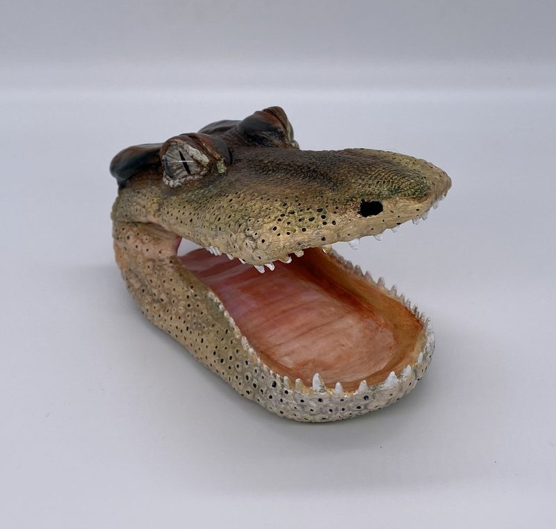 Anatosuchus bust sculpture