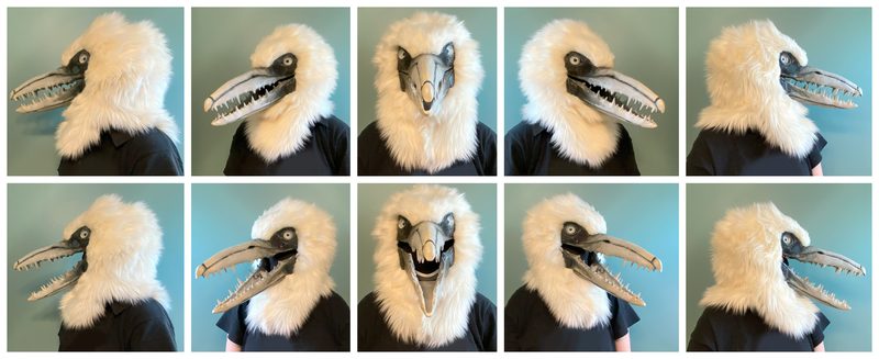 Pelagornis fursuit head, painted print