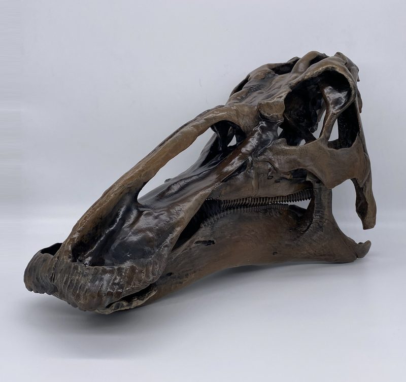 Edmontosaurus skull mask, painted print