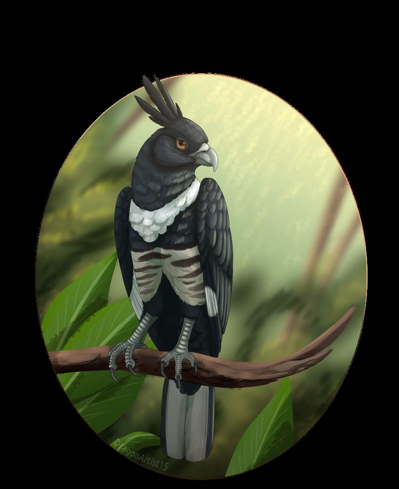 Bird of prey perched on a branch in an ornate framed portrait