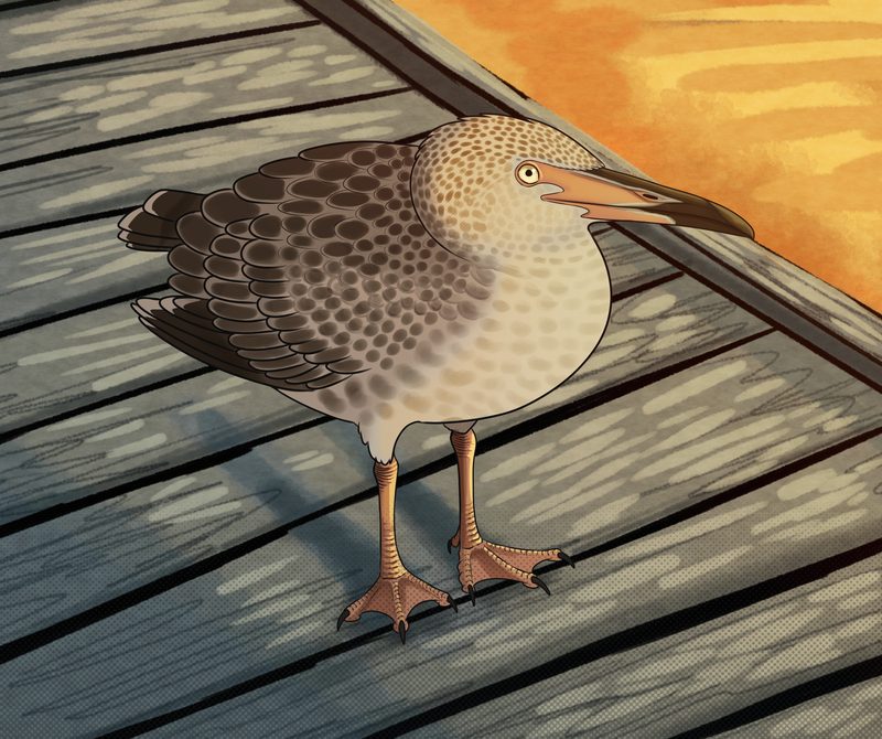 Speckled seabird portrait on a dock at sunset