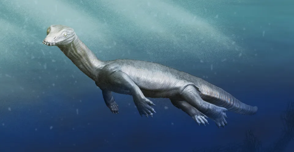 Preview of Nothosaurus Figurine